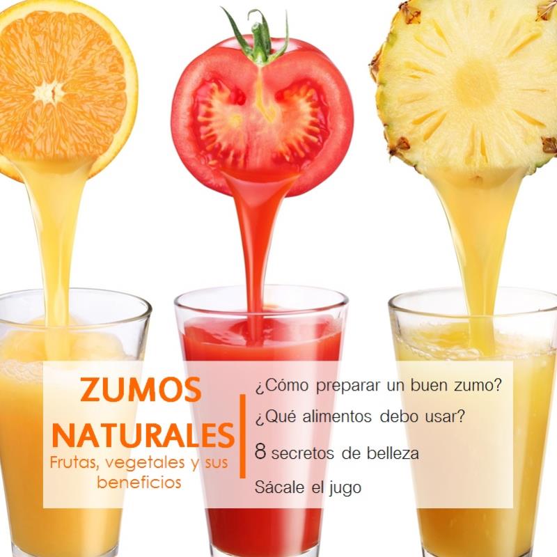 Revista